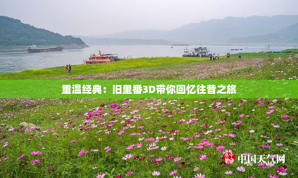 重温经典：旧里番3D带你回忆往昔之旅