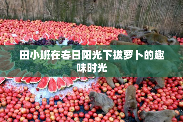 田小班在春日阳光下拔萝卜的趣味时光