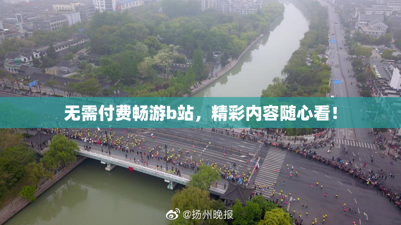无需付费畅游b站，精彩内容随心看！
