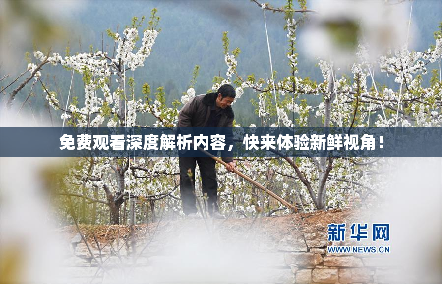 免费观看深度解析内容，快来体验新鲜视角！