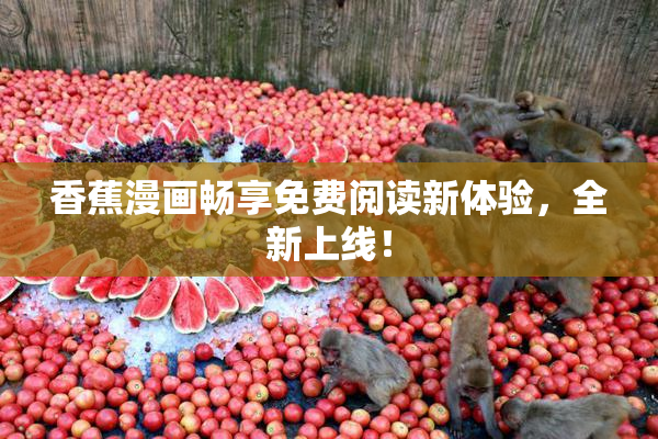 香蕉漫画畅享免费阅读新体验，全新上线！