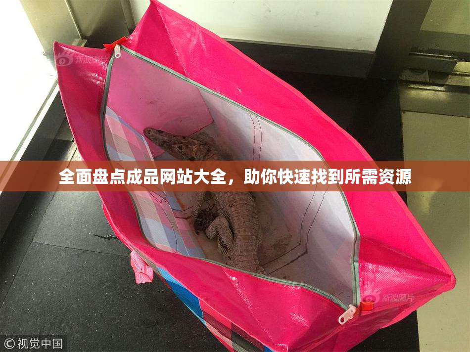 全面盘点成品网站大全，助你快速找到所需资源
