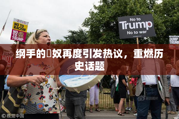 纲手的婬奴再度引发热议，重燃历史话题