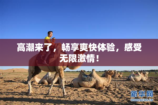 高潮来了，畅享爽快体验，感受无限激情！