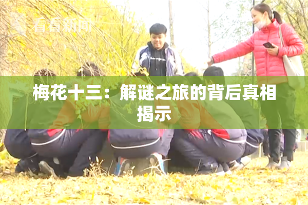 梅花十三：解谜之旅的背后真相揭示