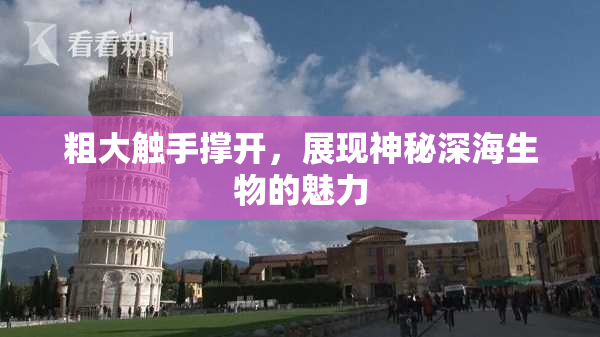 粗大触手撑开，展现神秘深海生物的魅力