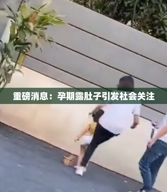 重磅消息：孕期露肚子引发社会关注