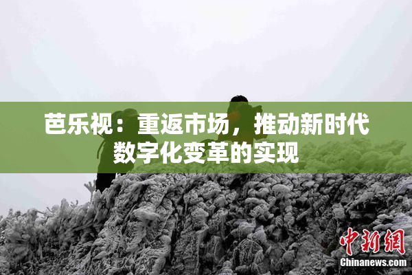 芭乐视：重返市场，推动新时代数字化变革的实现