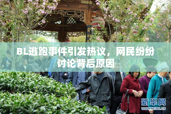 BL逃跑事件引发热议，网民纷纷讨论背后原因