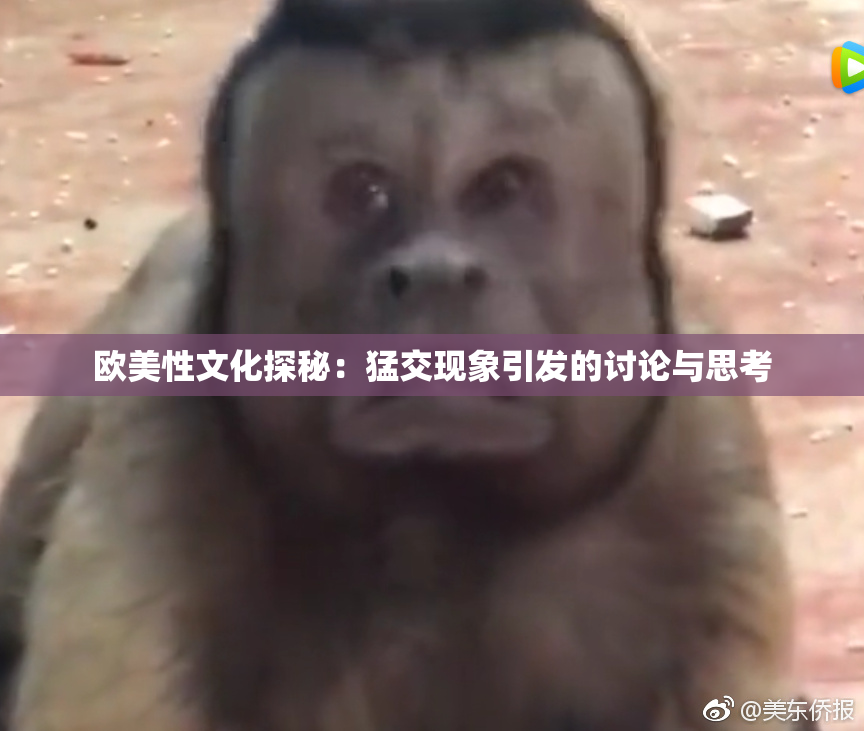 欧美性文化探秘：猛交现象引发的讨论与思考