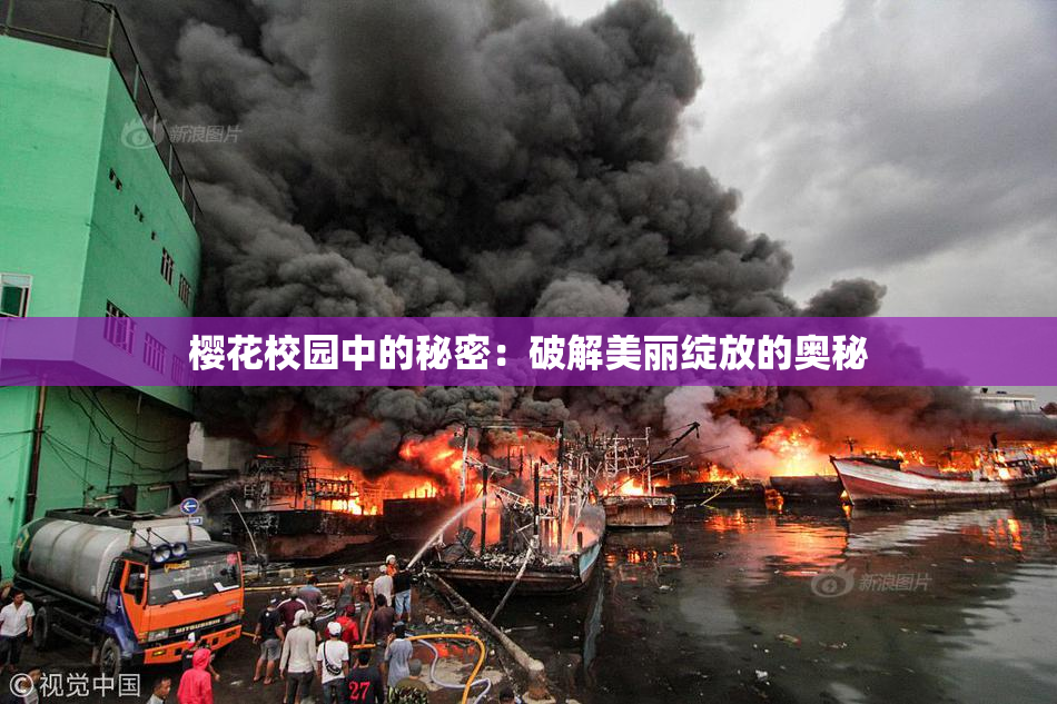 樱花校园中的秘密：破解美丽绽放的奥秘