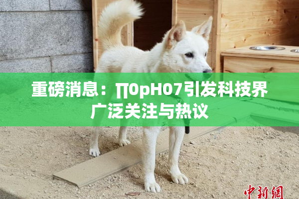 重磅消息：∏0pH07引发科技界广泛关注与热议