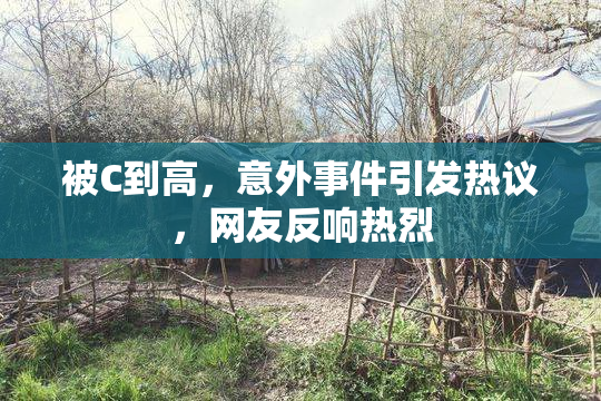 被C到高，意外事件引发热议，网友反响热烈