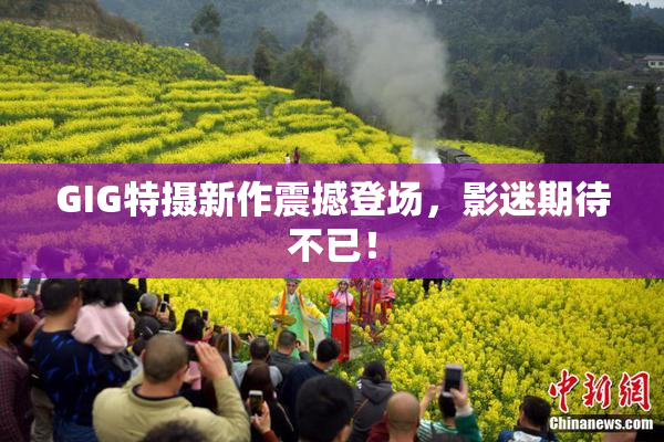 GIG特摄新作震撼登场，影迷期待不已！