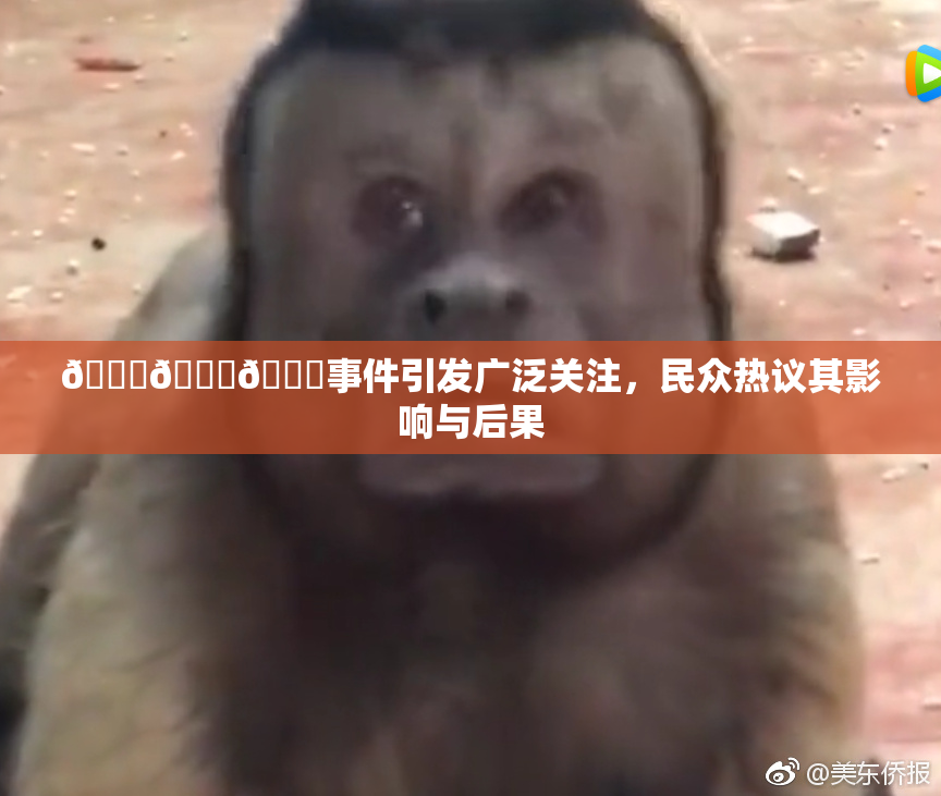 🔞🍆🍑事件引发广泛关注，民众热议其影响与后果