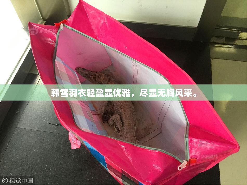 韩雪羽衣轻盈显优雅，尽显无胸风采。