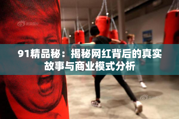 91精品秘：揭秘网红背后的真实故事与商业模式分析