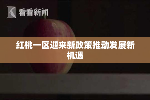 红桃一区迎来新政策推动发展新机遇
