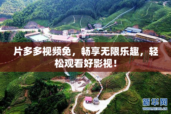 片多多视频免，畅享无限乐趣，轻松观看好影视！