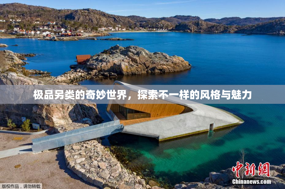 极品另类的奇妙世界，探索不一样的风格与魅力