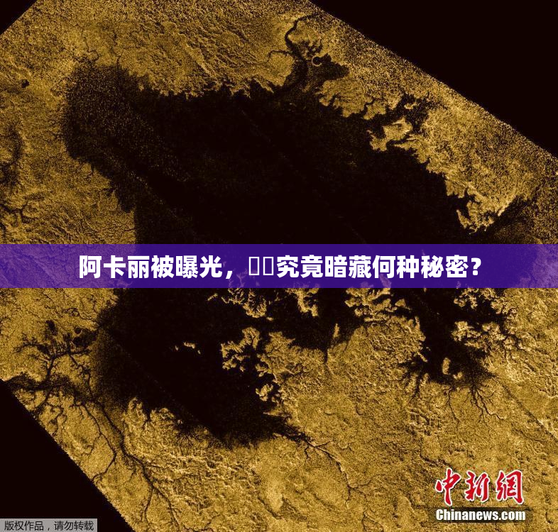 阿卡丽被曝光，❌‌究竟暗藏何种秘密？