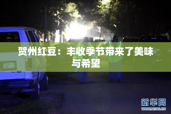 贺州红豆：丰收季节带来了美味与希望