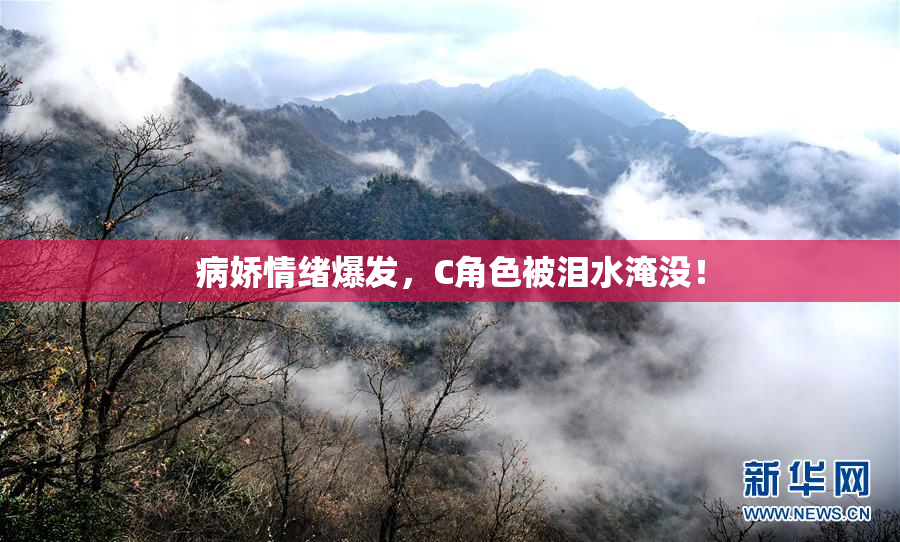 病娇情绪爆发，C角色被泪水淹没！