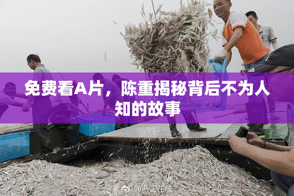 免费看A片，陈重揭秘背后不为人知的故事