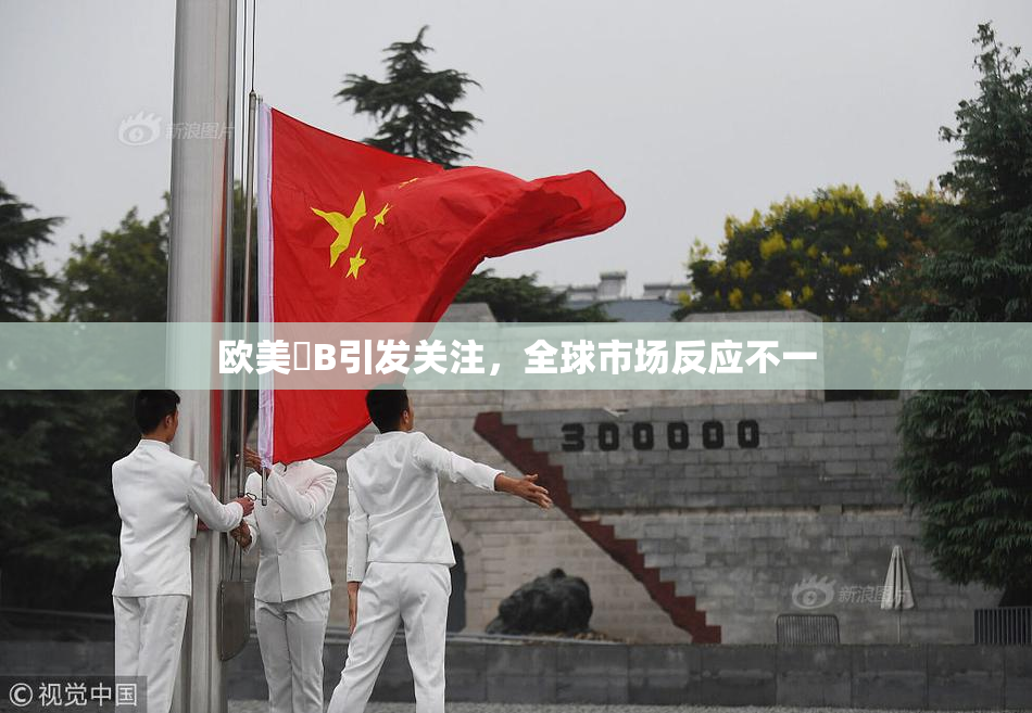 欧美槡B引发关注，全球市场反应不一