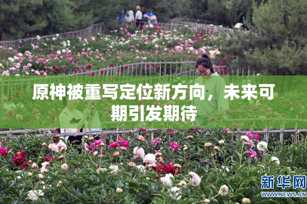 原神被重写定位新方向，未来可期引发期待