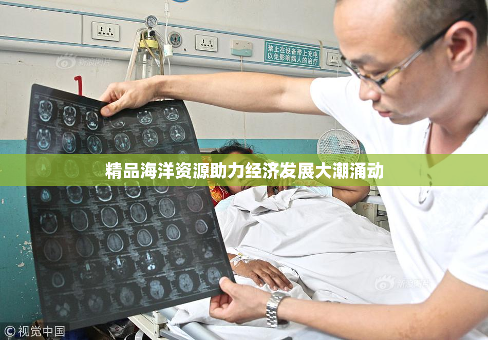 精品海洋资源助力经济发展大潮涌动