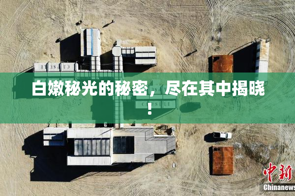 白嫩秘光的秘密，尽在其中揭晓！