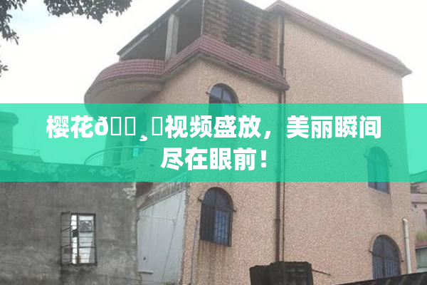樱花🌸‌视频盛放，美丽瞬间尽在眼前！