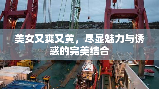 美女又爽又黄，尽显魅力与诱惑的完美结合