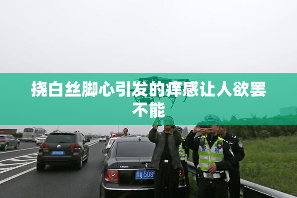 挠白丝脚心引发的痒感让人欲罢不能