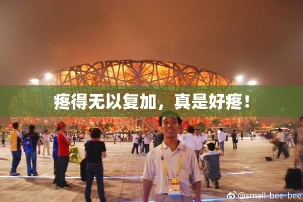疼得无以复加，真是好疼！