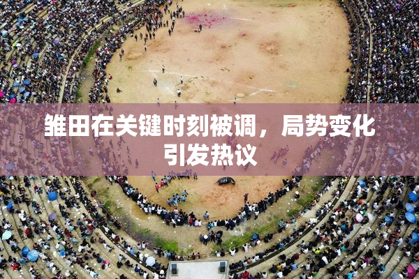 雏田在关键时刻被调，局势变化引发热议