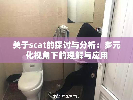 关于scat的探讨与分析：多元化视角下的理解与应用