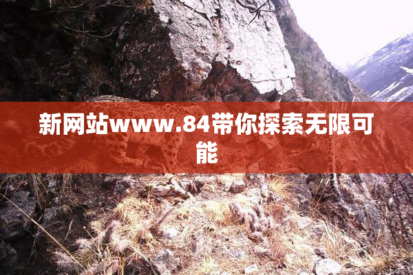 新网站www.84带你探索无限可能