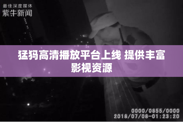 猛犸高清播放平台上线 提供丰富影视资源