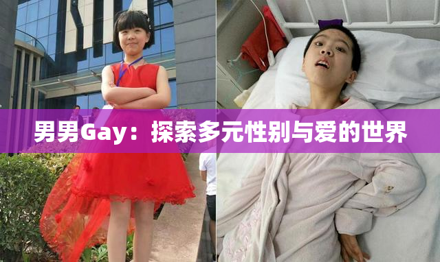男男Gay：探索多元性别与爱的世界