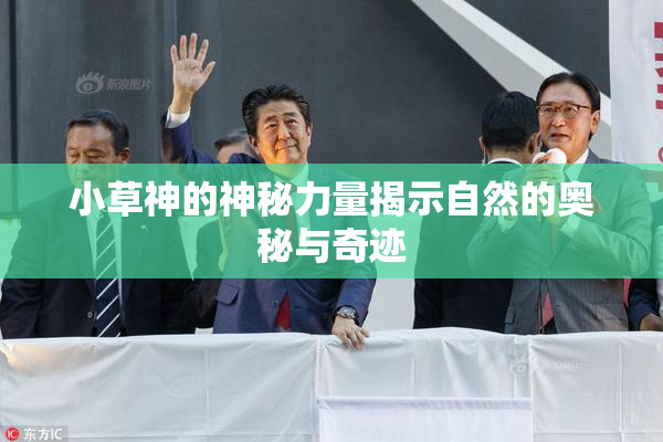 小草神的神秘力量揭示自然的奥秘与奇迹