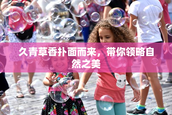 久青草香扑面而来，带你领略自然之美