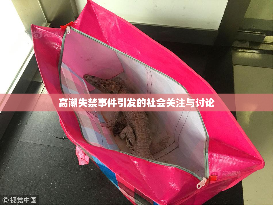 高潮失禁事件引发的社会关注与讨论