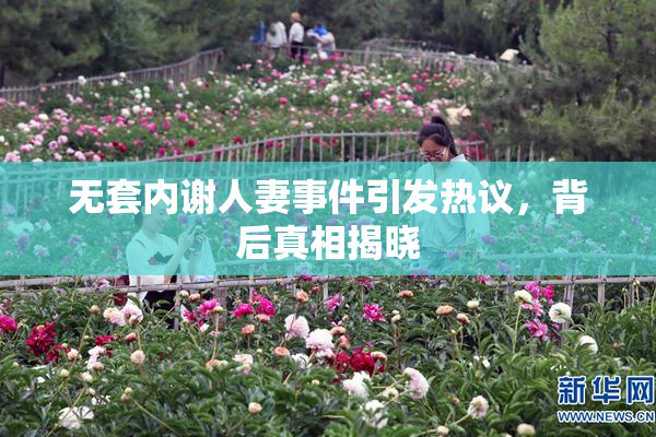无套内谢人妻事件引发热议，背后真相揭晓