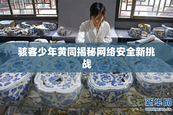 骇客少年黄同揭秘网络安全新挑战
