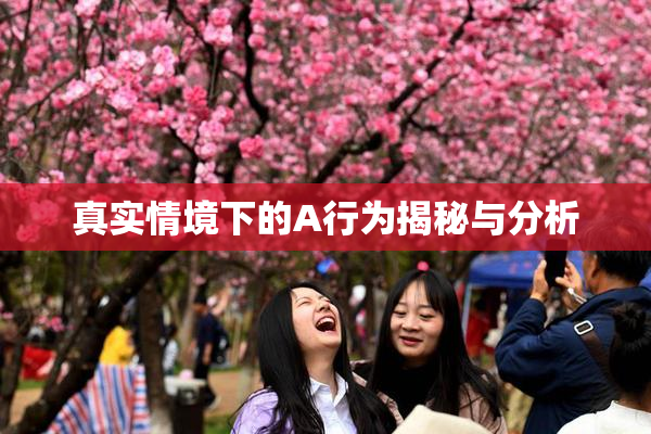 真实情境下的A行为揭秘与分析