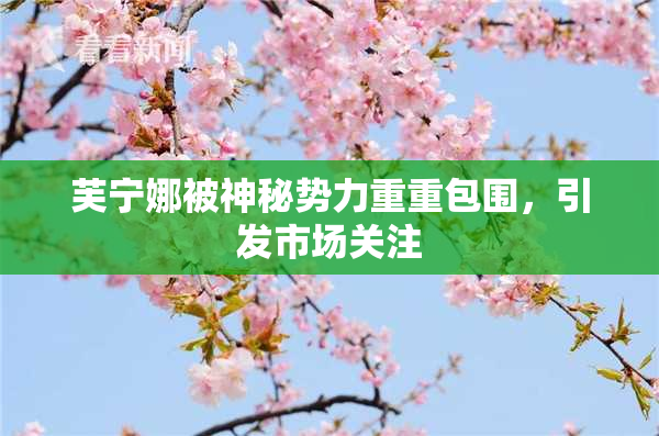 芙宁娜被神秘势力重重包围，引发市场关注