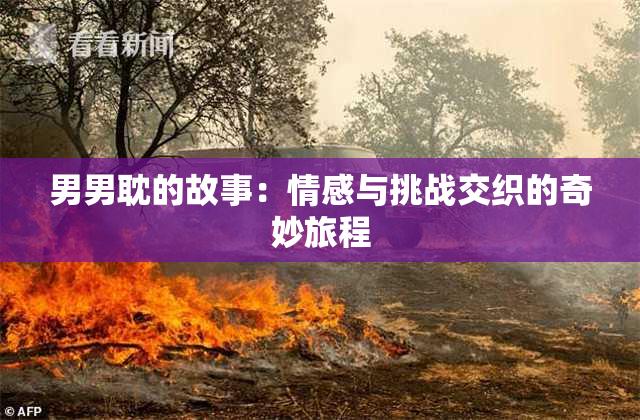 男男耽的故事：情感与挑战交织的奇妙旅程