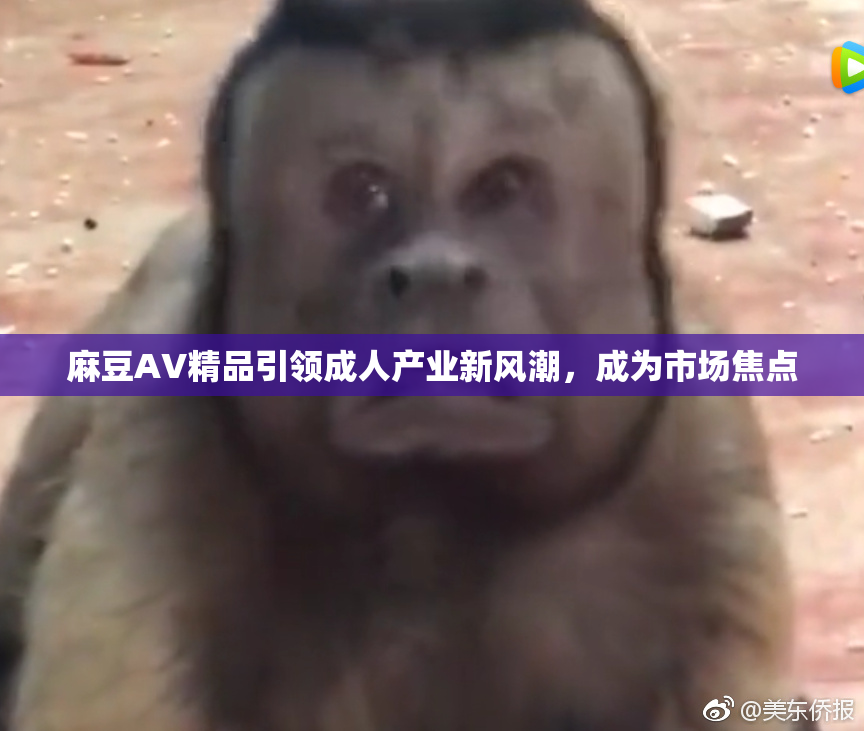 麻豆AV精品引领成人产业新风潮，成为市场焦点